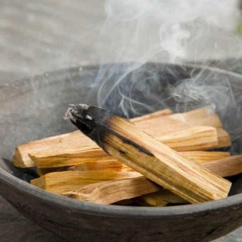 Palo Santo Smudge Stick